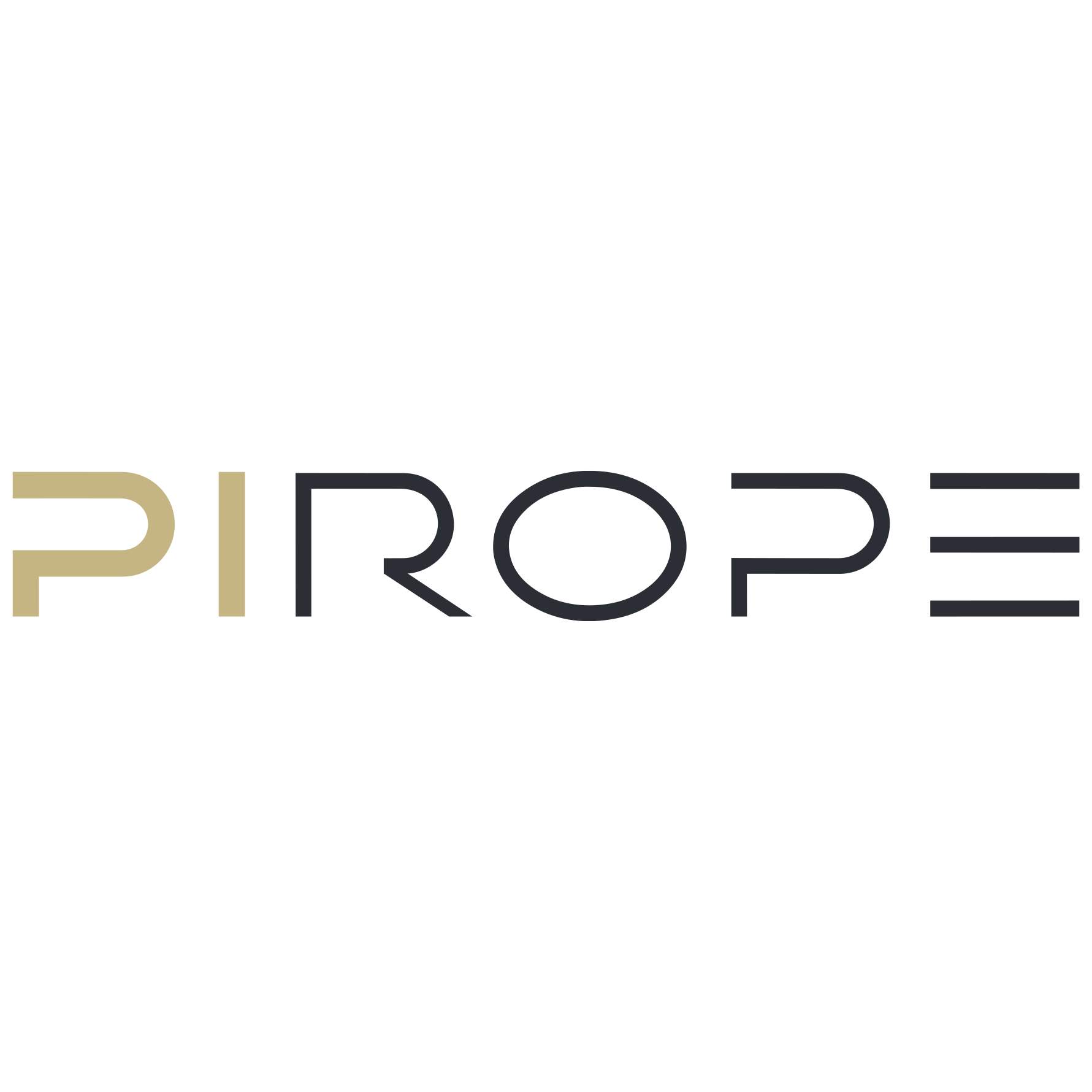 PI ROPE LOGO 2023 Kreis.png